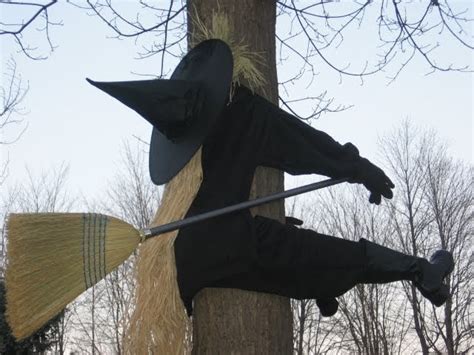 Witch crashinf into tree